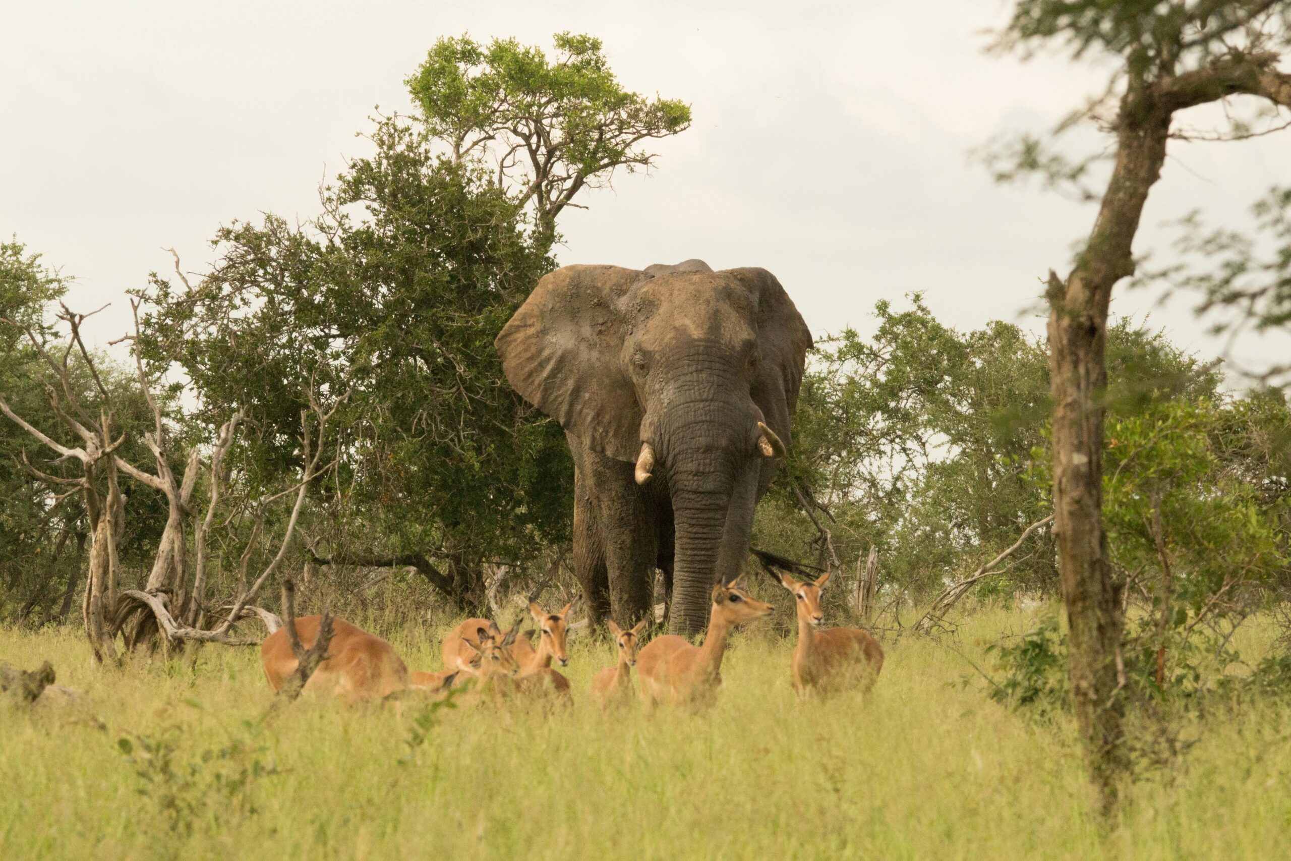 pexels-charmain-11753049